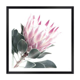 Dusty Pink Protea Square II-The Paper Tree-dusty pink,floral,floral artwork,flower,flowers,green,pink,pink flower,pink protea,portait,premium art print,protea,protea art,protea flower,protea flowers,square,wall art,Wall_Art,Wall_Art_Prints