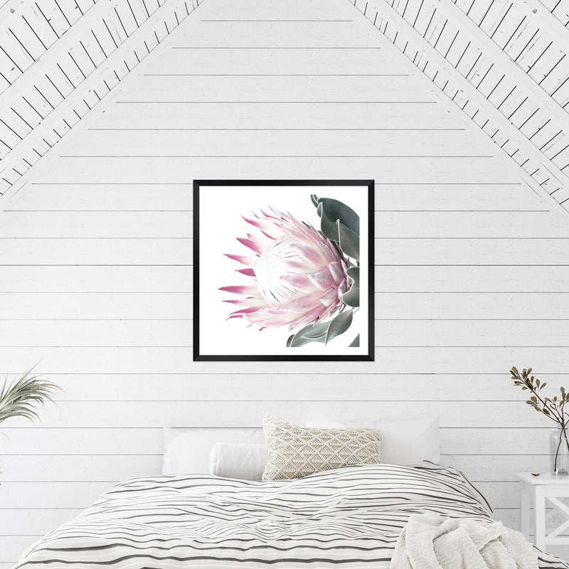 Dusty Pink Protea Square-The Paper Tree-dusty pink,floral,floral artwork,flower,flowers,green,pink,pink flower,pink protea,portrait,protea,protea art,protea artwork,protea flower,protea flowers,square,wall art,Wall_Art,Wall_Art_Prints