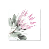 Pink Protea Square II-The Paper Tree-dusty pink,floral,flower,flowers,pink flower,pink protea,portrait,premium art print,protea,protea flower,protea flowers,square,wall art,Wall_Art,Wall_Art_Prints