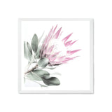 Pink Protea Square II-The Paper Tree-dusty pink,floral,flower,flowers,pink flower,pink protea,portrait,premium art print,protea,protea flower,protea flowers,square,wall art,Wall_Art,Wall_Art_Prints