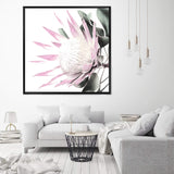 Pink Protea Square-The Paper Tree-dusty pink,floral,flower,flowers,pink flower,pink protea,portrait,premium art print,protea,protea flower,protea flowers,square,wall art,Wall_Art,Wall_Art_Prints