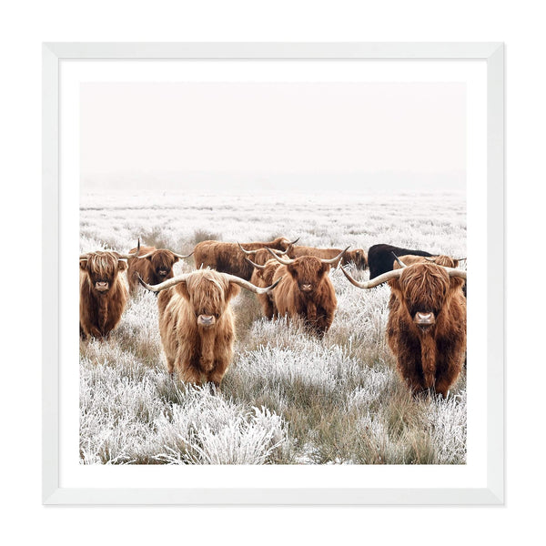 Highland Cattle Herd | Square-The Paper Tree-animal,Art Print,art prints,Artwork,boho,framed,highland,highland bull,highland cattle,highland cow,neutral,premium art print,square,tan,wall art,Wall_Art,Wall_Art_Prints